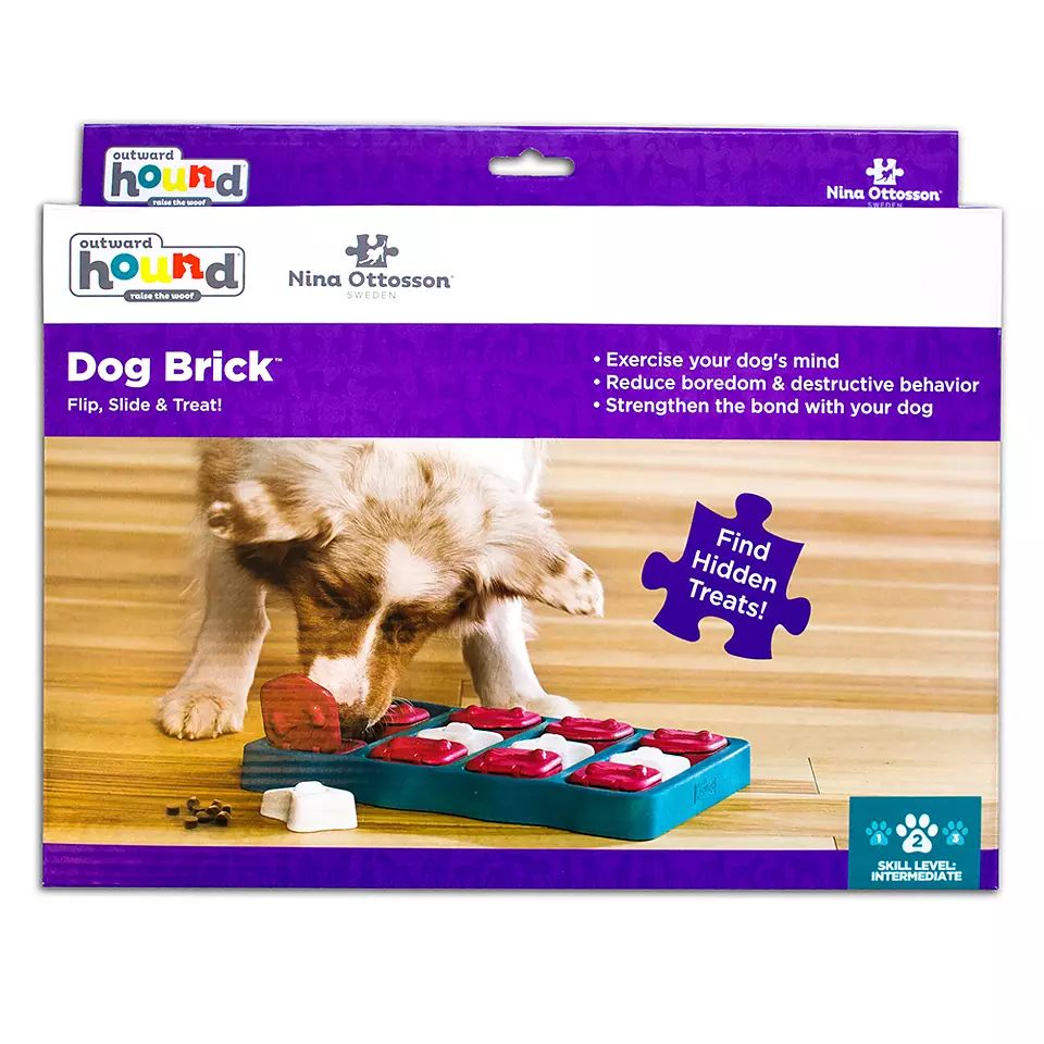 Dog Brick - Juguete Interactivo Nivel 2