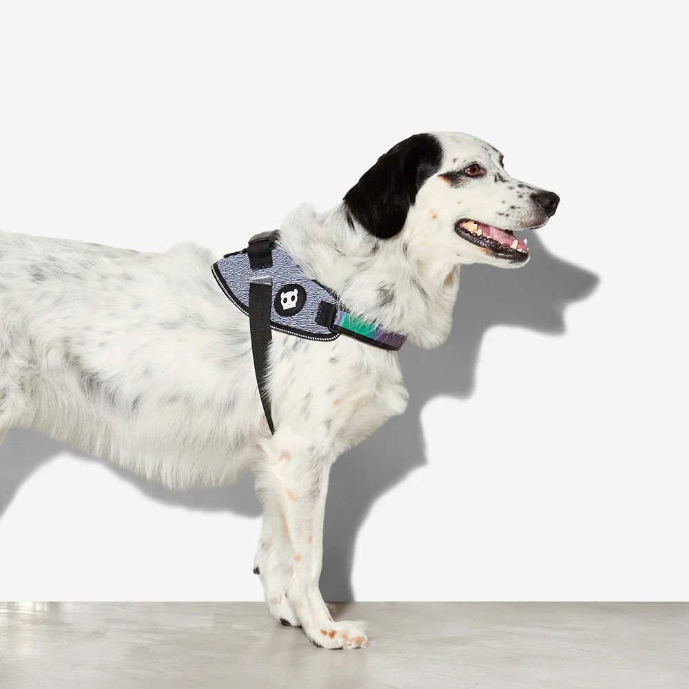 Fly Harness Urban