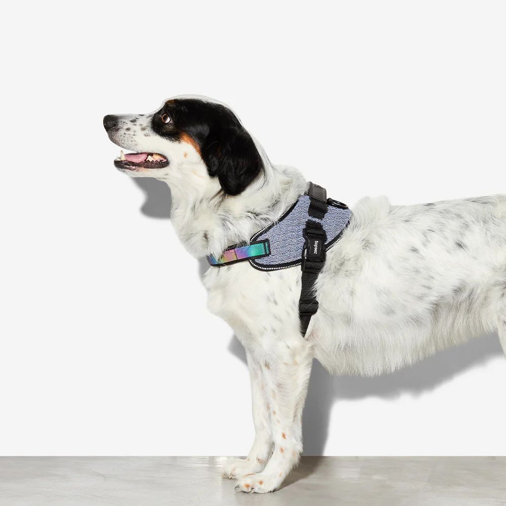 Fly Harness Urban